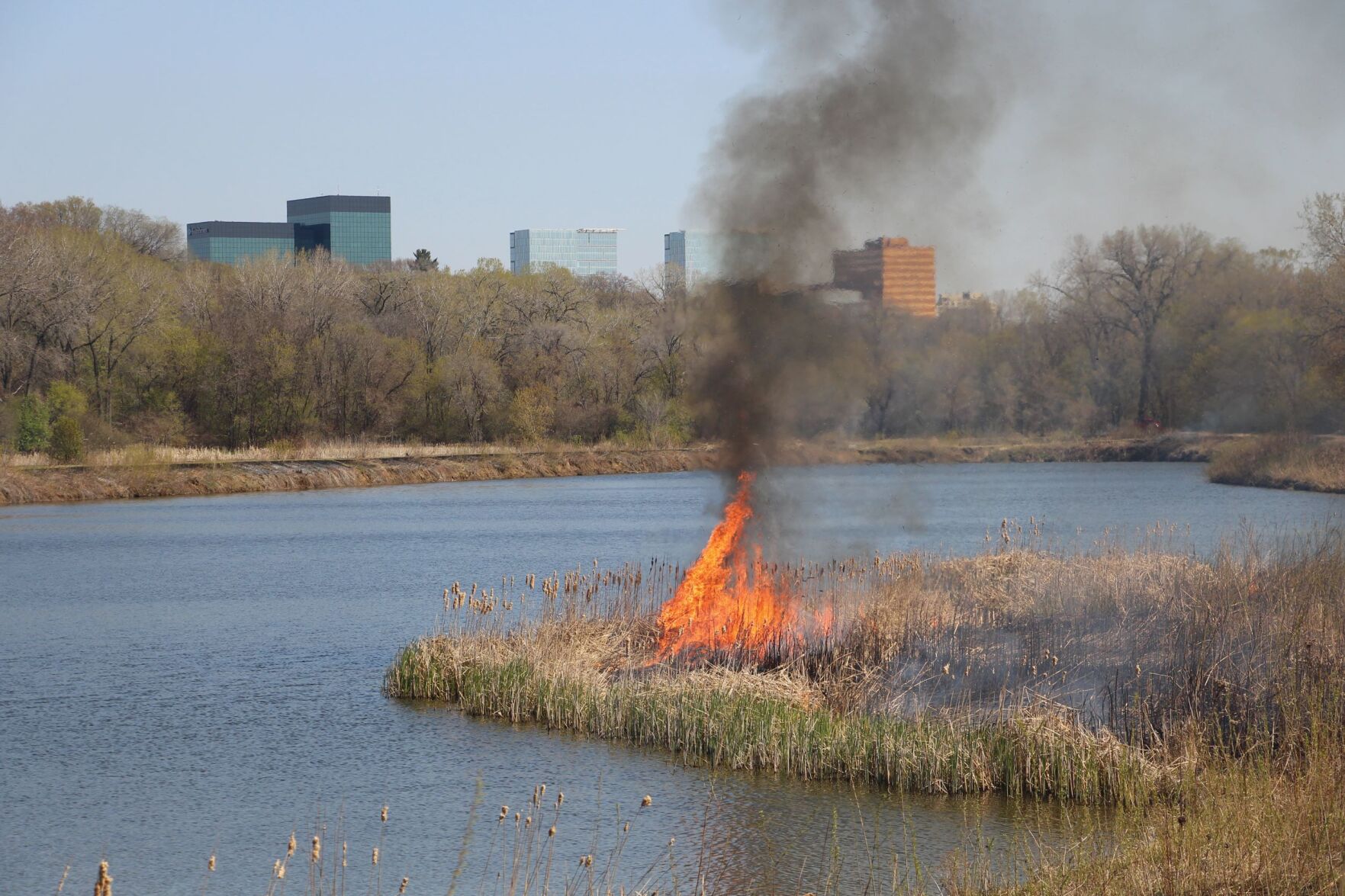burn-1